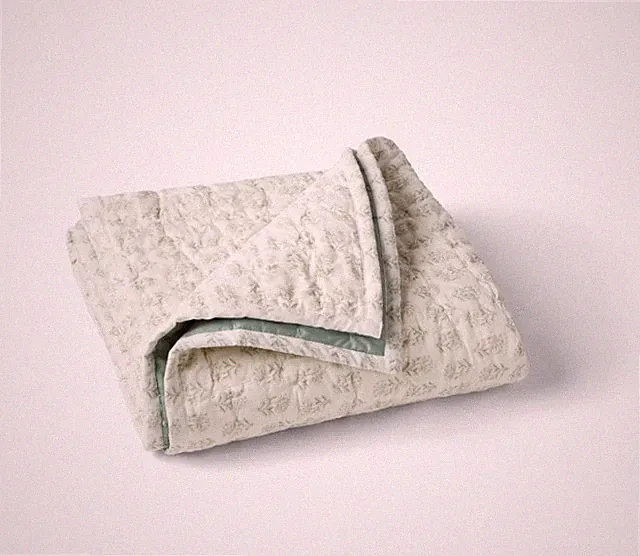 NWT Coyuchi Pebbled Handstitched Organic Toddler Quilt