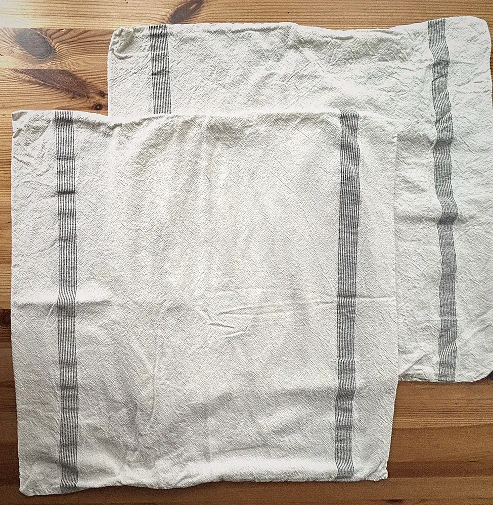 Set of 2 Coyuchi Sonoma Euro Shams Striped Organic Cotton Soft White